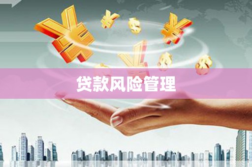 黔西贷款风险管理