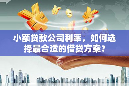 香港小额贷款公司利率，如何选择最合适的借贷方案？