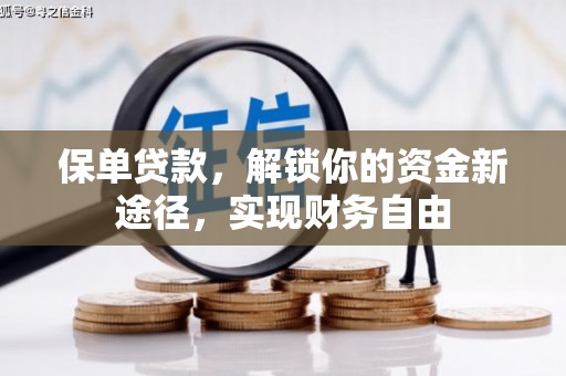 河北保单贷款，解锁你的资金新途径，实现财务自由