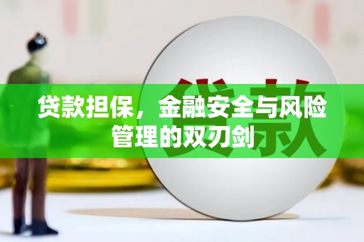 洞口贷款担保，金融安全与风险管理的双刃剑