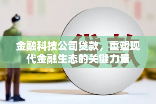 鱼台金融科技公司贷款，重塑现代金融生态的关键力量