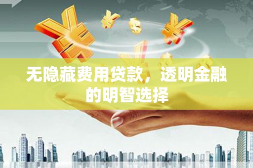 瑞穗无隐藏费用贷款，透明金融的明智选择