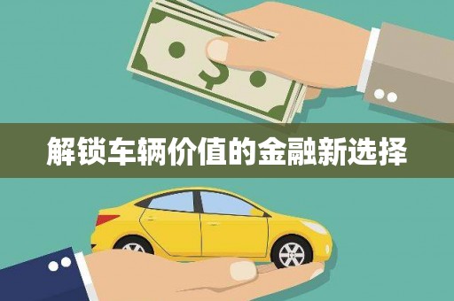 海盐解锁车辆价值的金融新选择