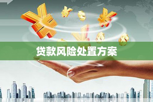 茅箭贷款风险处置方案