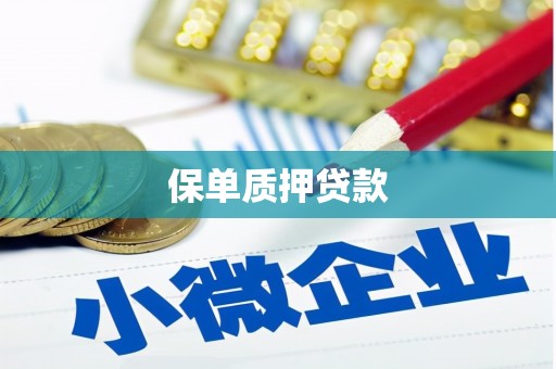 壮围保单质押贷款