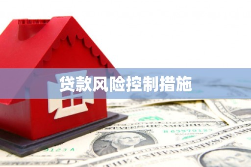 封开贷款风险控制措施