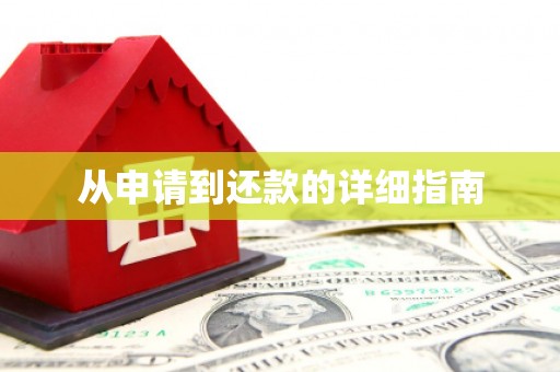 九龙城从申请到还款的详细指南