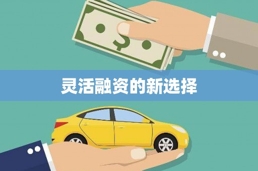 寻甸灵活融资的新选择