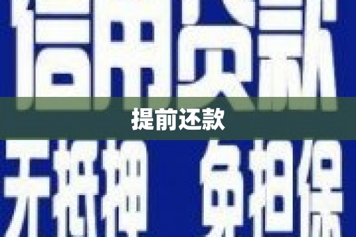 龙湖提前还款