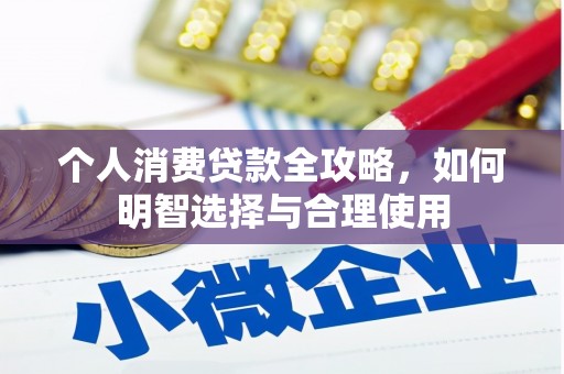 荔城个人消费贷款全攻略，如何明智选择与合理使用