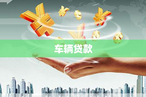 容县车辆贷款